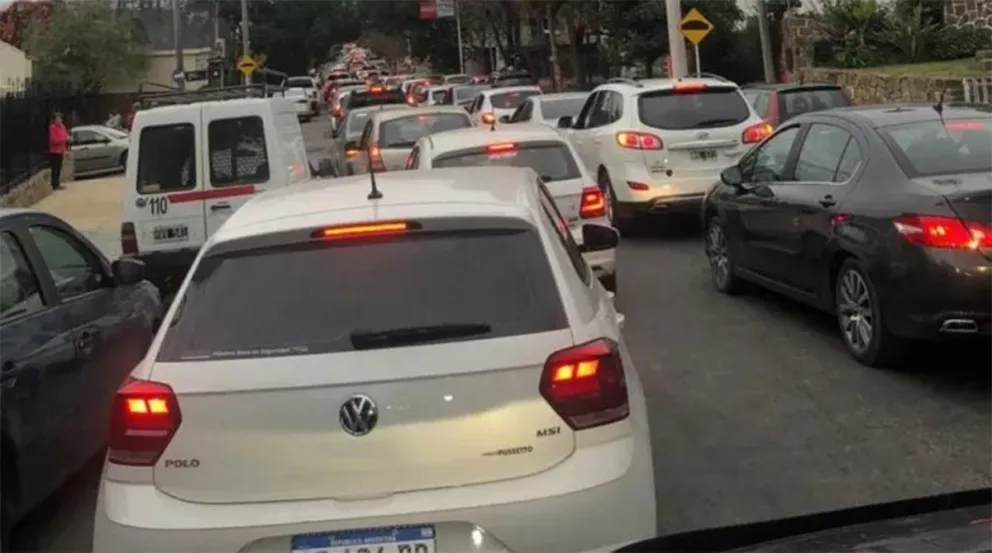 marcha uva salta
