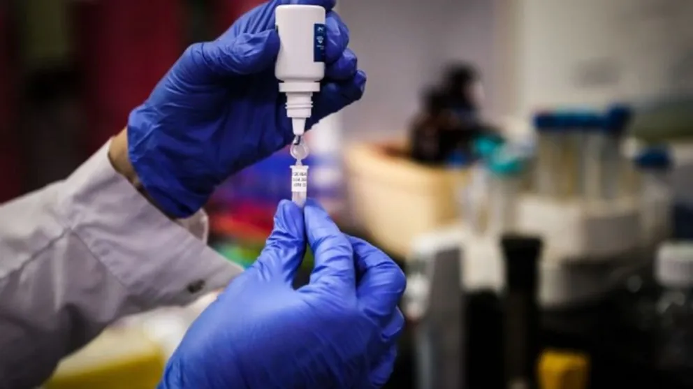coronavirus 