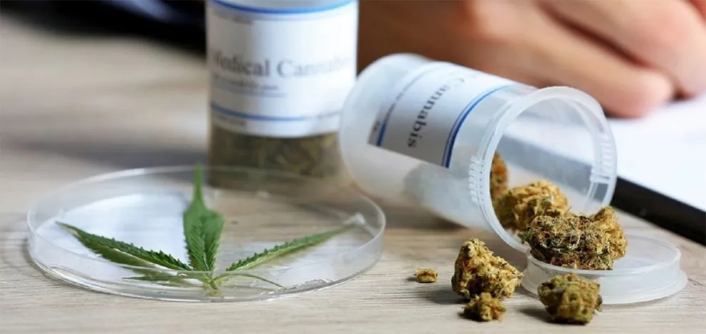 cannabis medicinal
