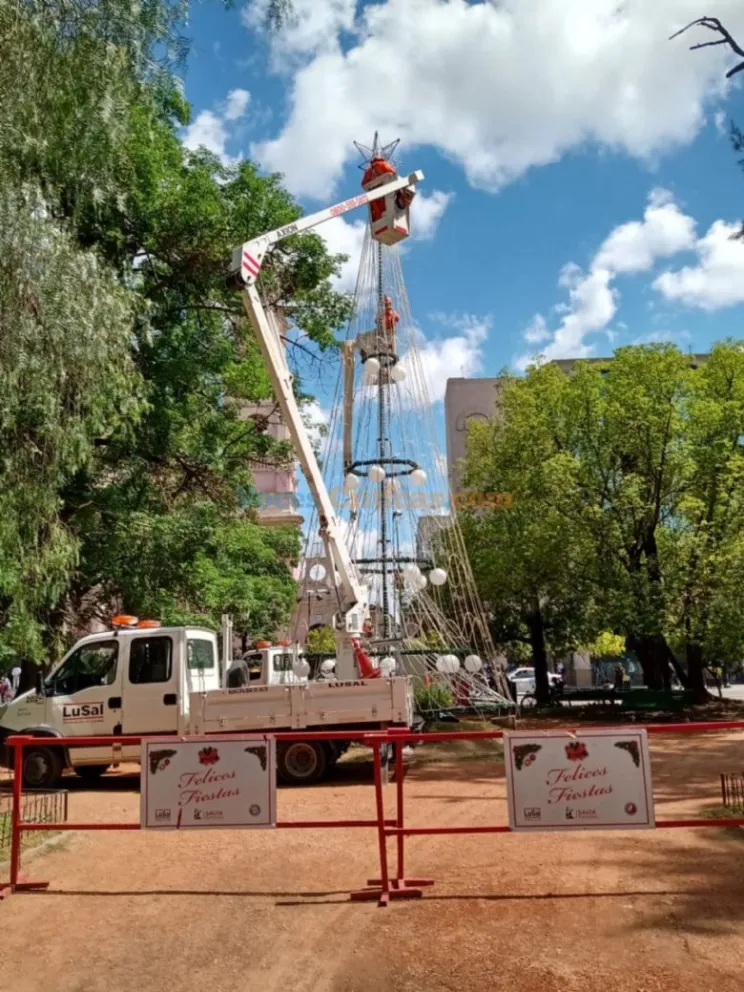 Se viene un operativo de poda y extracción: “La conservación de árboles hay que mantenerla”
