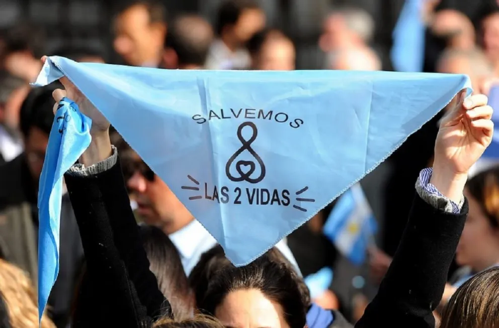 Referente provida afirma que "la ley del aborto nos introduce en una incoherencia cultural"