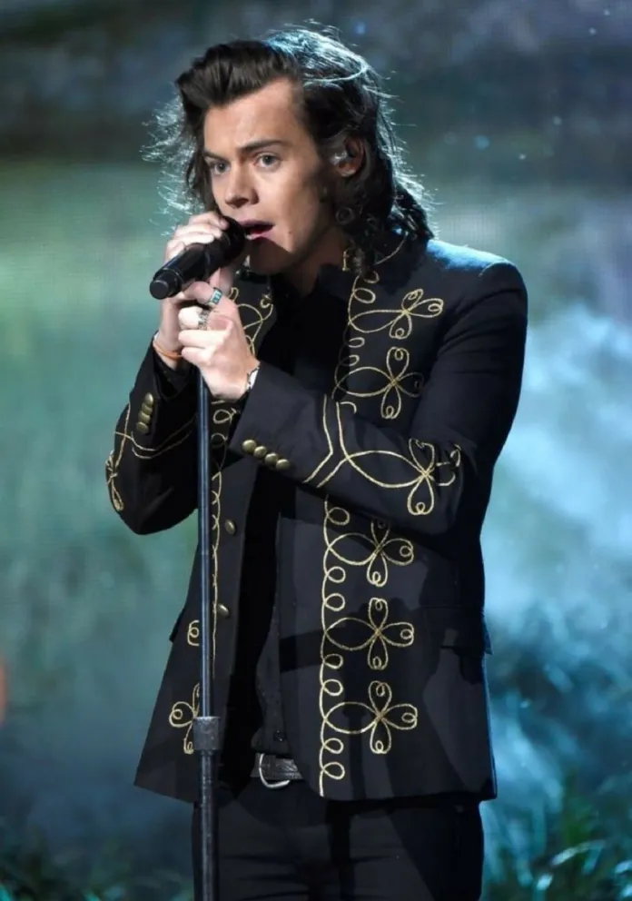 Harry Styles. Fuente (Instagram)