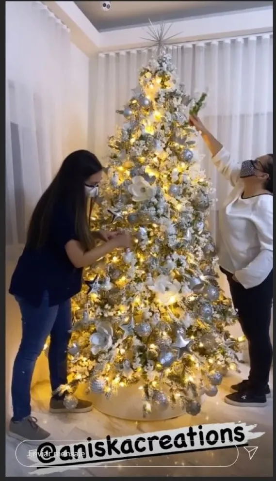 Adamari López enseñó el resultado final de su árbol de Navidad y es increíble