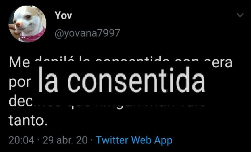 El tuit fue furor y causó  mucha risa (Fuente: Twitter)
