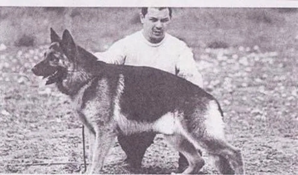 ¿Por qué se celebra hoy el Día Nacional del Perro?