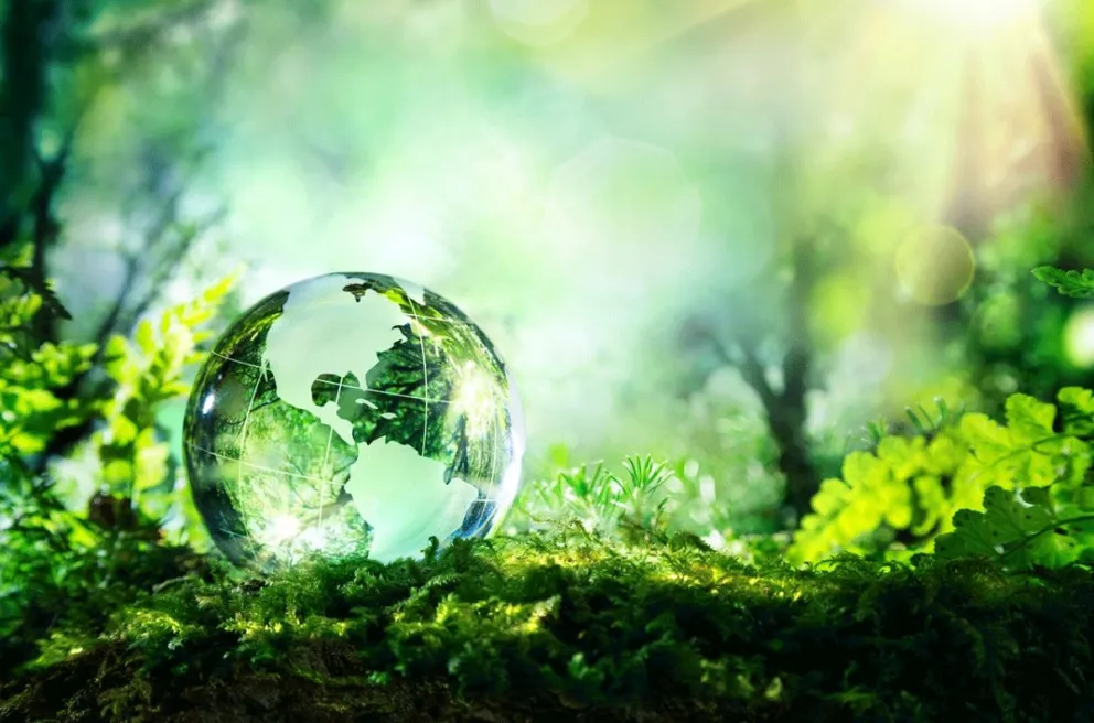 Día Mundial del Medio Ambiente. Fuente: Instagram