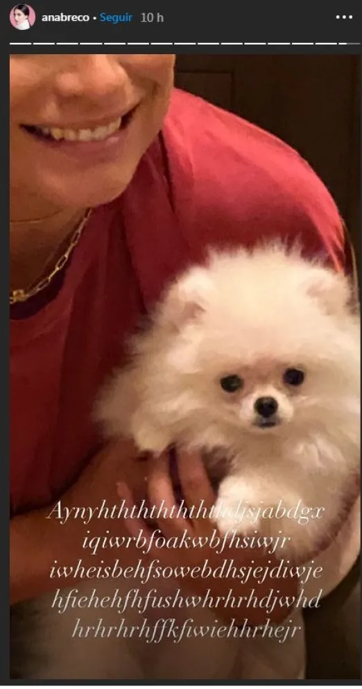 Ana Brenda Contreras 