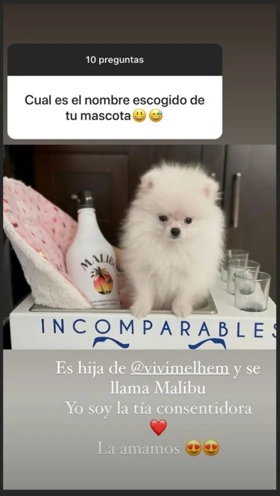 Ana Brenda Contreras 