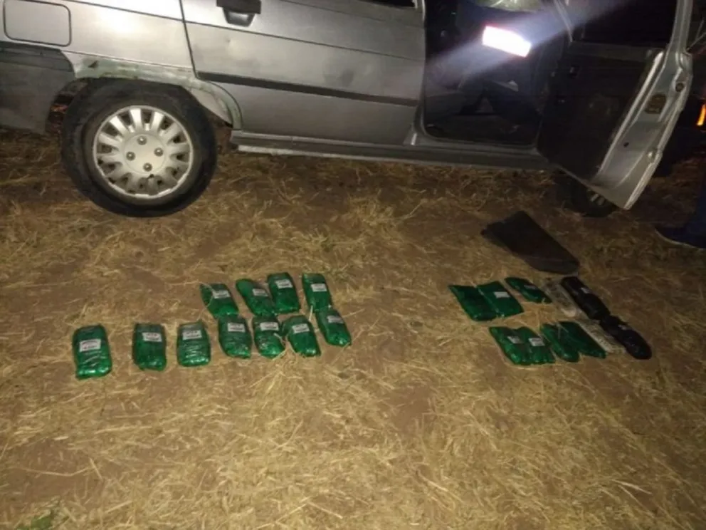 hojas de coca