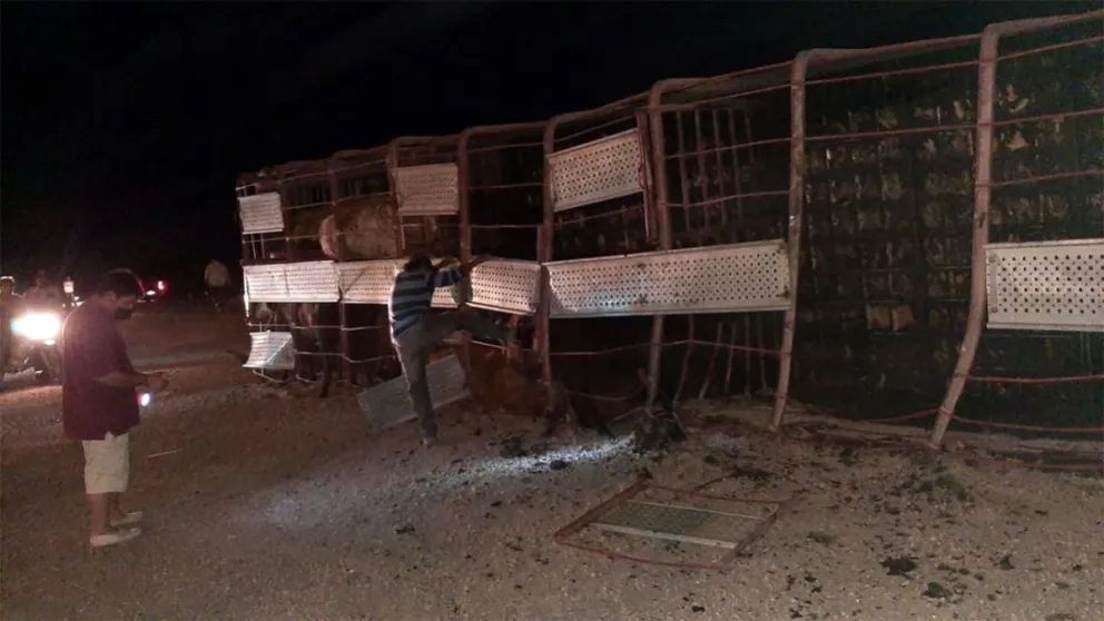 robo de ganado vacuno