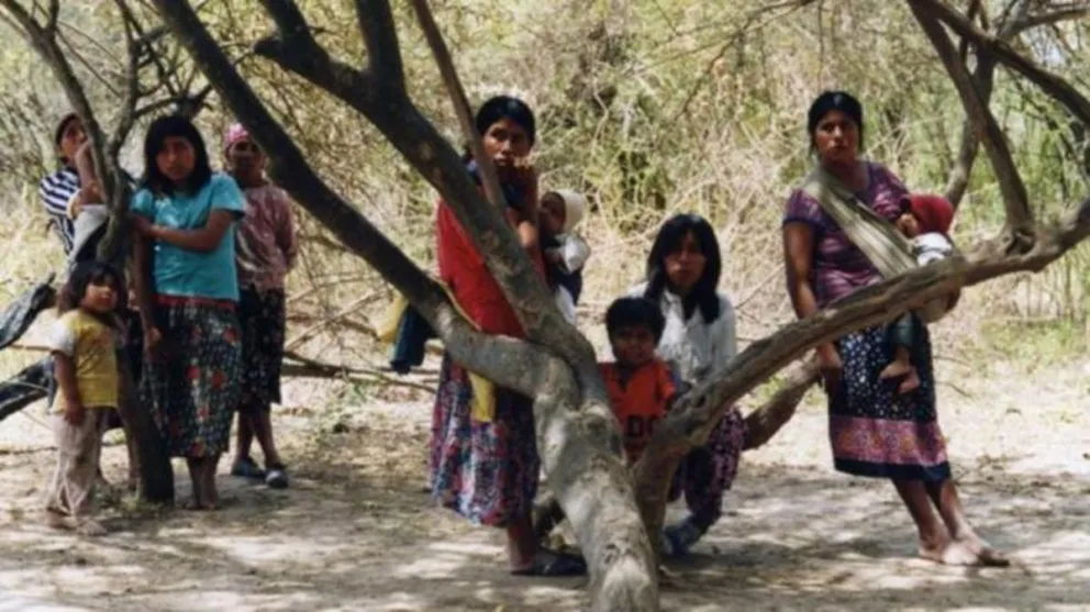 Leda Kantor, vocera de las comunidades originarias wichi, advierte sobre desalojo a más de 15 familias
