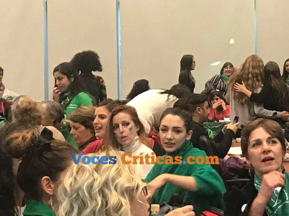 Ahora: presentan un nuevo proyecto por el aborto legal
