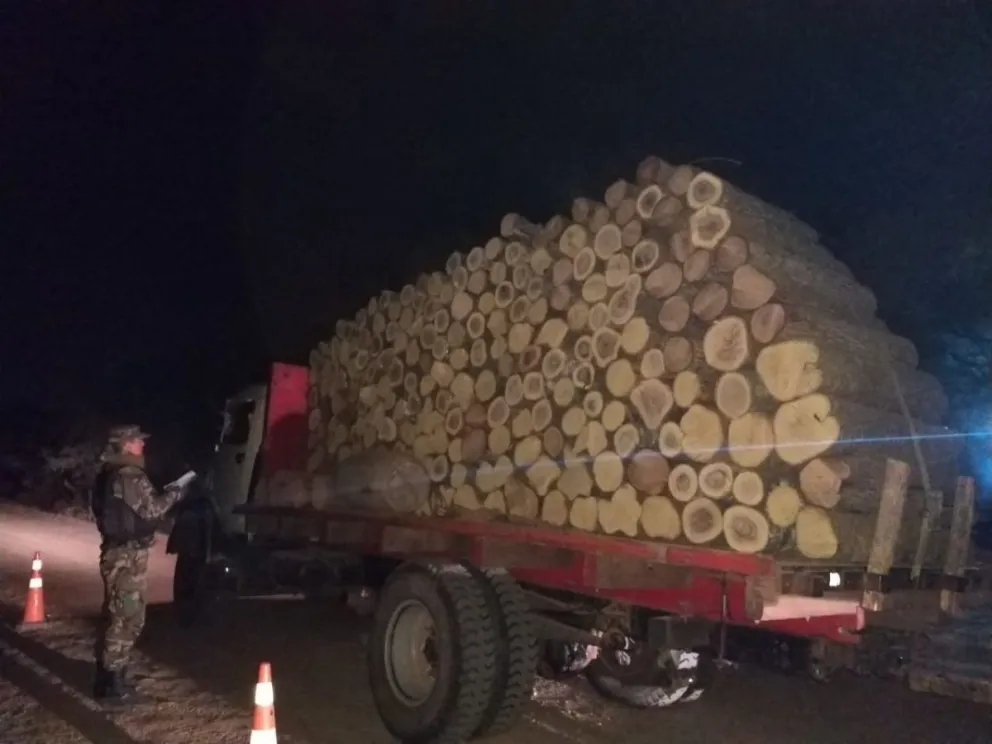 Tala indiscriminada: fue infraccionado por transportar gran cantidad de madera ilegal