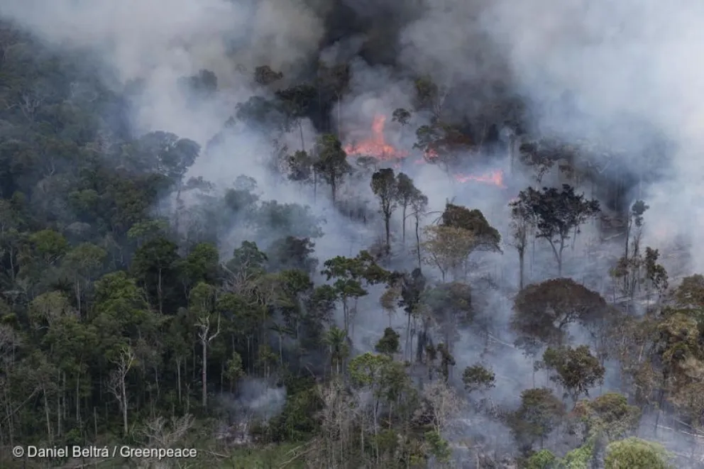 Terror: el Amazonas arde desde hace 6 días