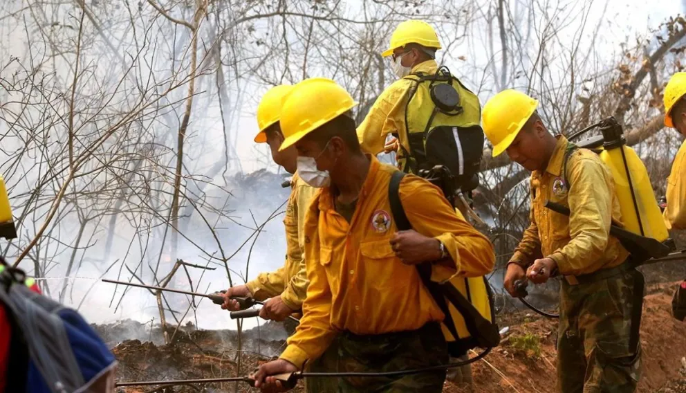 Incendio en Amazonas: los salteños juntan donaciones para las víctimas de Bolivia