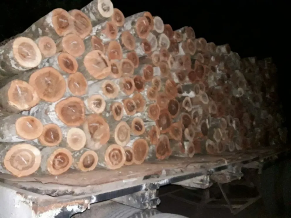 Salteños transportaban madera sin los permisos correspondientes: mirá todo lo que tenían en su poder