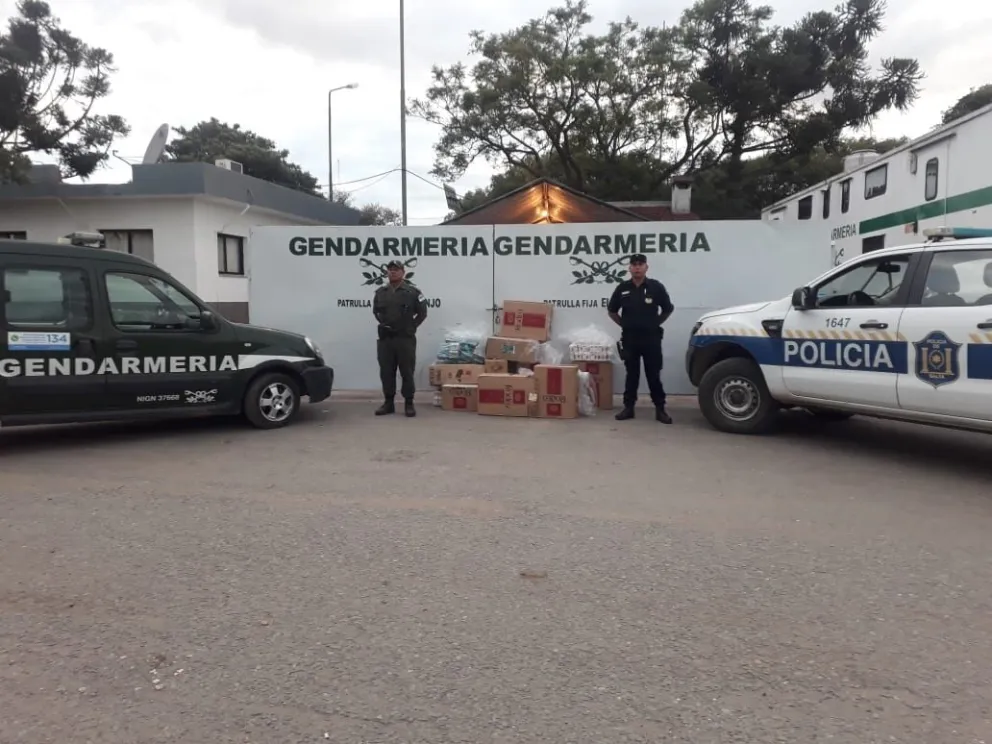 Ilegalidad al palo: incautaron un gran cargamento: ¿qué intentaban comercializar?
