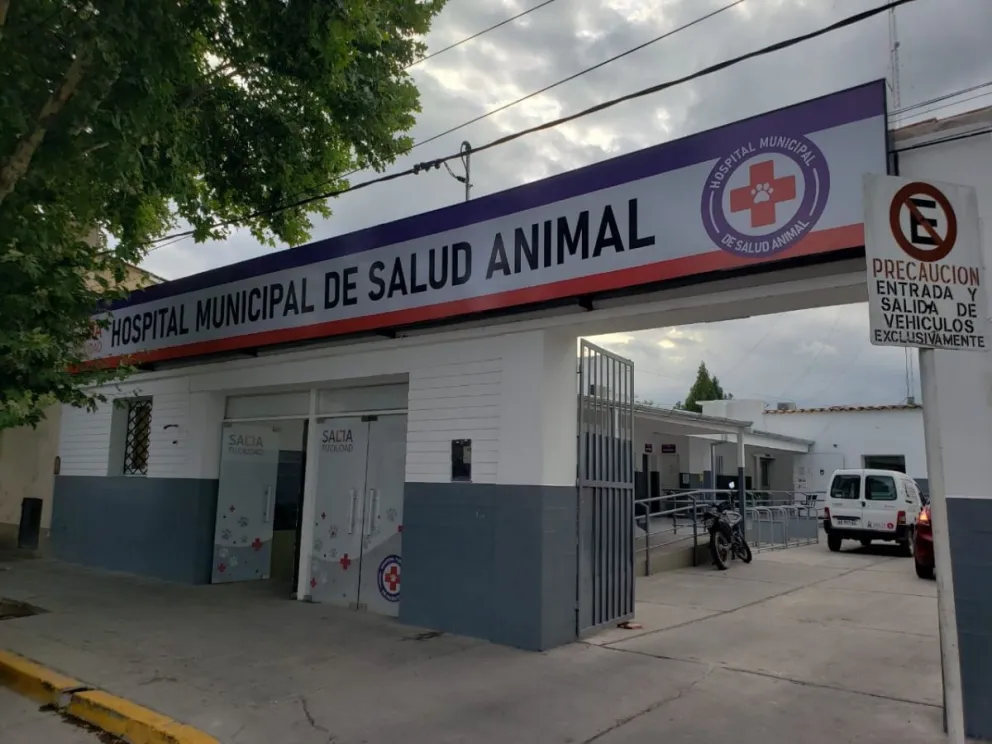 ¡Atención! Así funcionarán los servicios municipales por el feriado del miércoles 8 de diciembre
