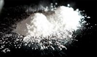 Desde la Aduana partieron rumbo a Europa unas 11 toneladas de cocaína