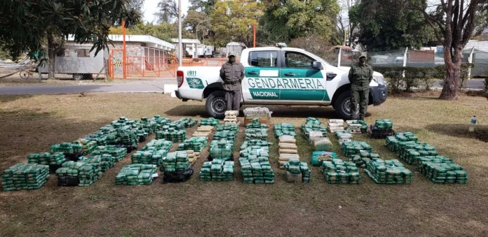 Hojas de Coca. Fuente: Gendarmería Nacional