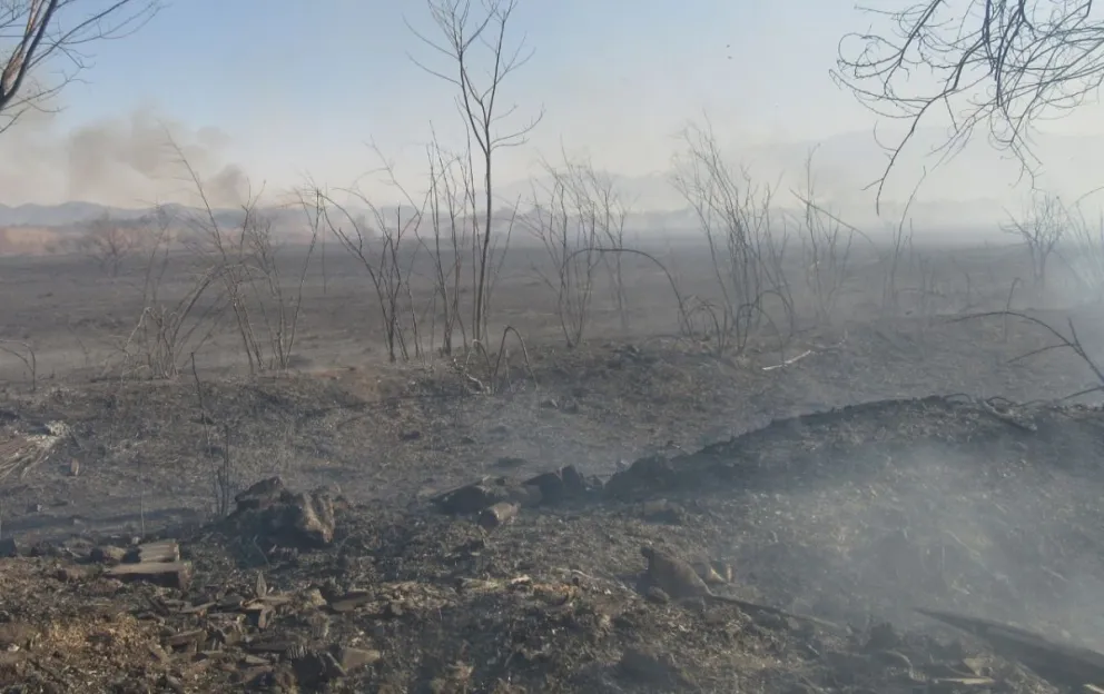 Incendios en Salta. Fuente: Voces Críticas