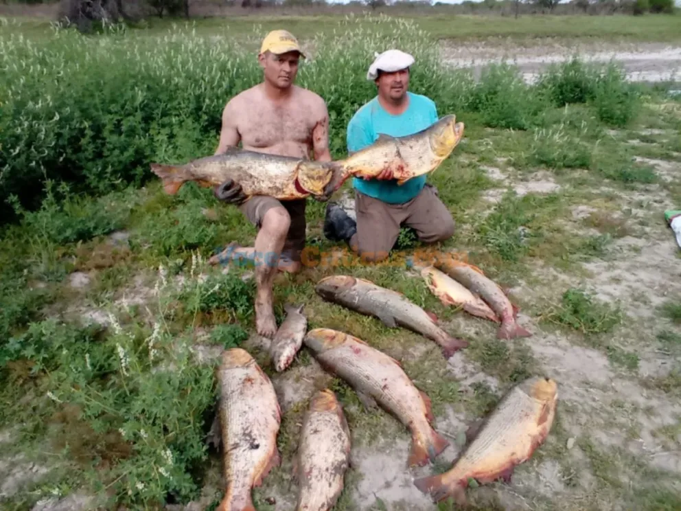 Gerardo Zamora