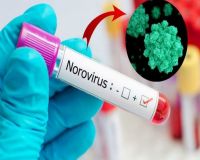 Alarmante: un nuevo brote de Norovirus preocupa a China
