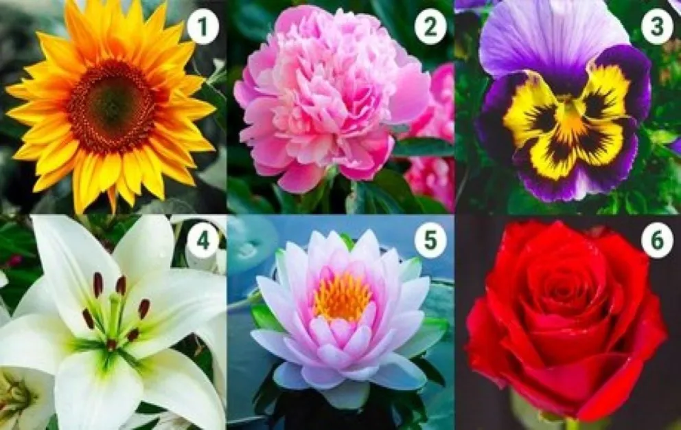 Test de la flor. Fuente: (Twitter) 