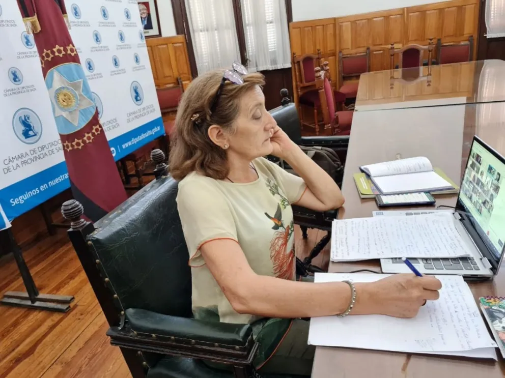Alcira Figueroa, sobre la media sanción de la Ley del Aborto: "Es fruto de la lucha de las mujeres organizadas"