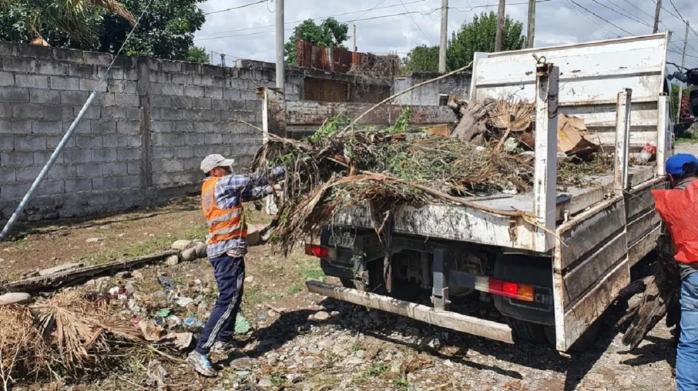 La Municipalidad de Salta continúa con los trabajos para erradicar el Dengue