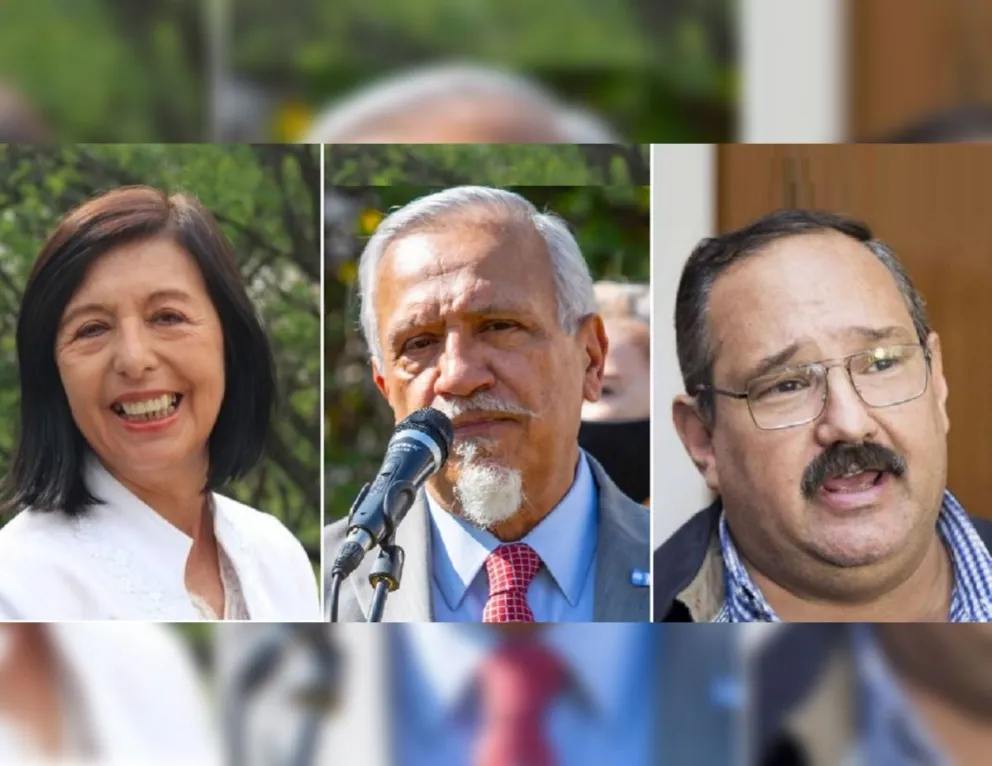 Tras su aprobación en Diputados, cómo votarán los Senadores Nacionales de Salta la Ley del Aborto