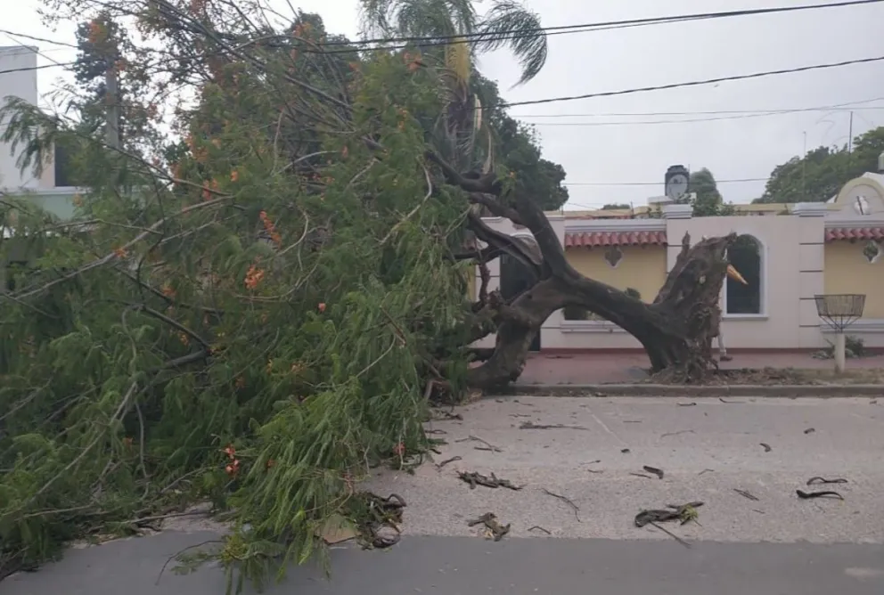 Temporal. Fuente: (Twitter)