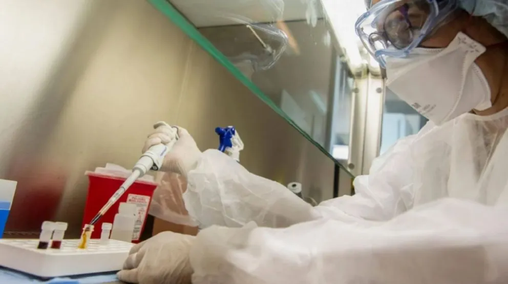 Coronavirus en Salta: informaron 64 nuevos casos en la provincia