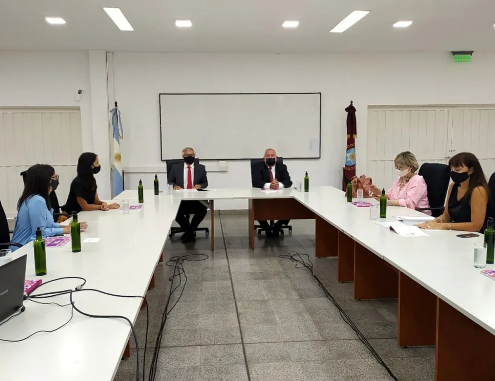 Más de 20 mil salteñas denunciaron violencia de género en el Poder Judicial en el 2020