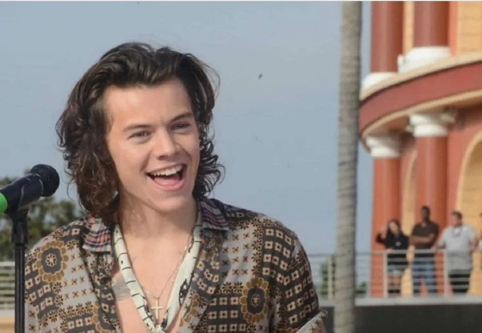 Harry Styles. Fuente (Instagram)