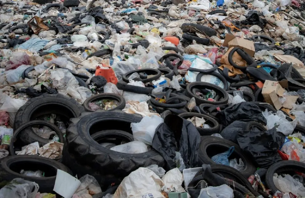 Macabro hallazgo: sintió un olor putrefacto salir de la basura, se acercó y vio dos cuerpos mutilados
