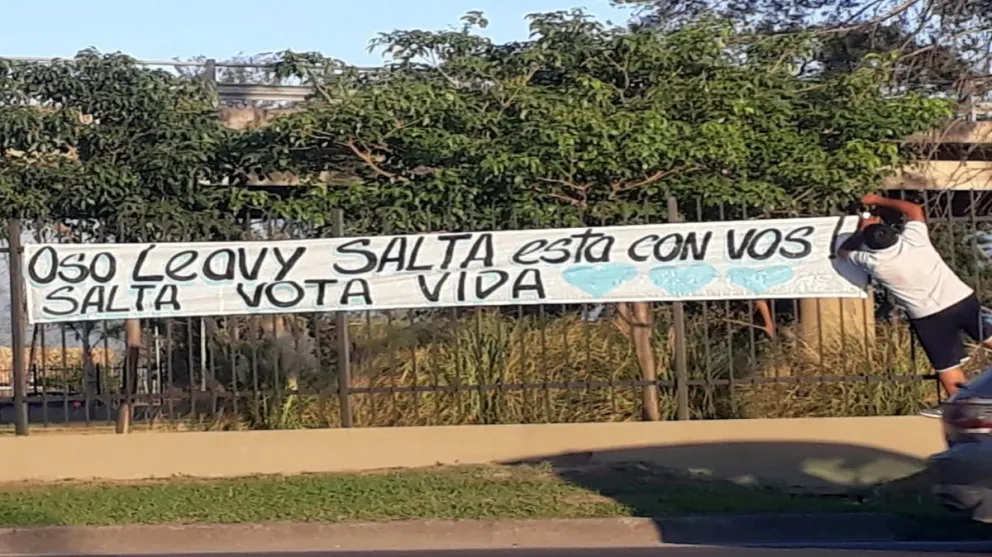 Salta es provida: la provincia es tendencia en Twitter porque se aprobaría el proyecto del aborto