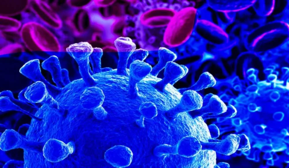 Coronavirus: apareció una nueva variante de la enfermedad