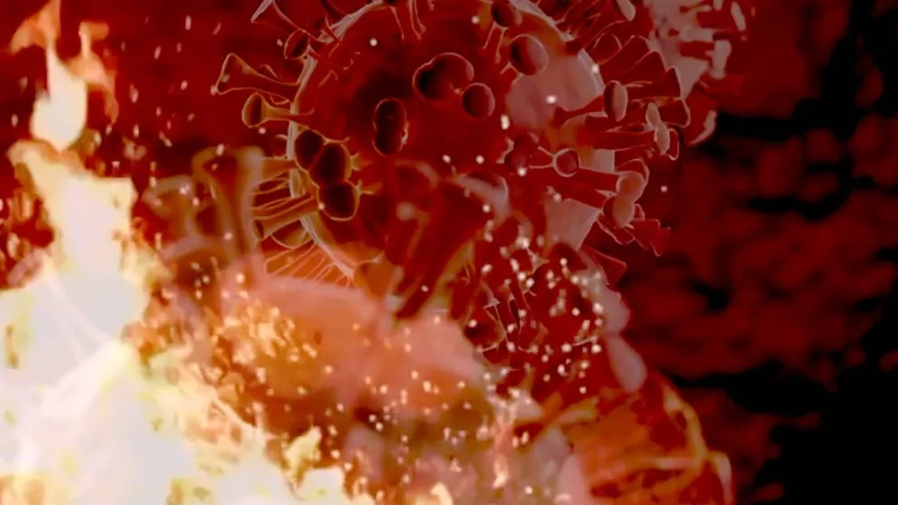 El coronavirus está mutando constantemente