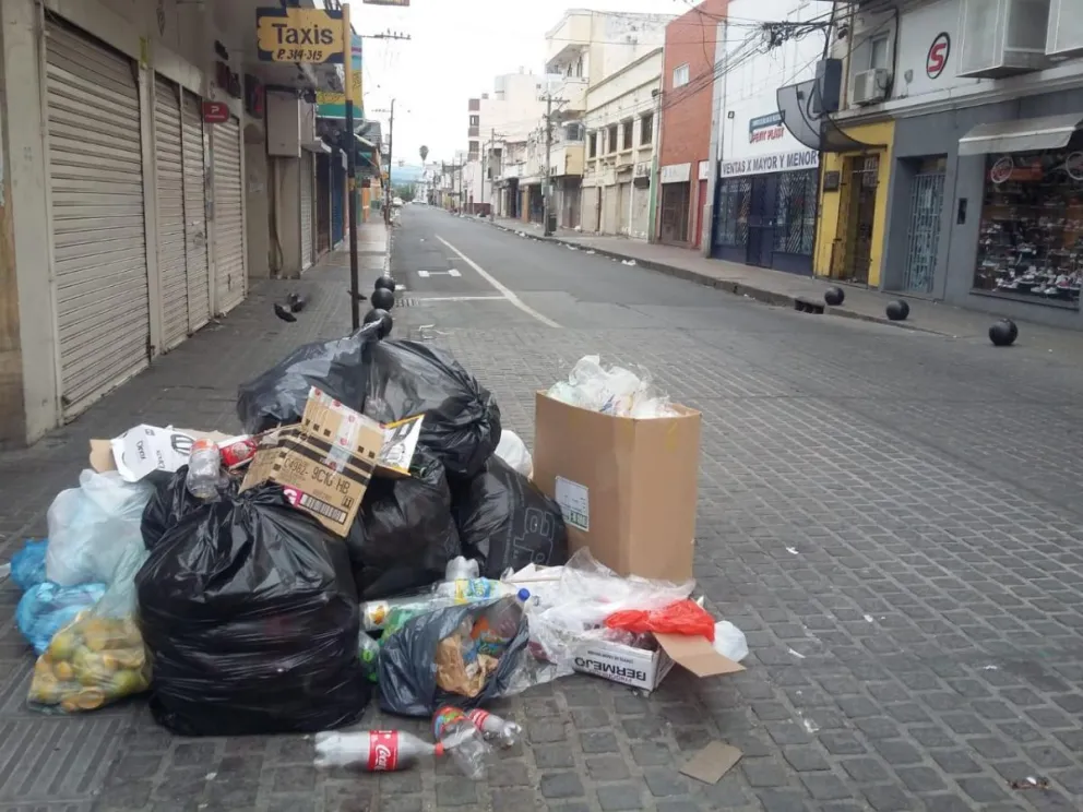 Hantavirus en Salta: cuántos casos se reportaron y qué cuidados debes tener para no contagiarte