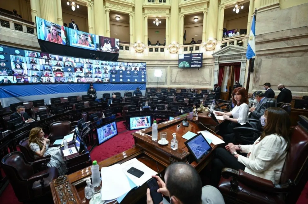 Celestes vs. verdes: se debate el aborto y así será la votación en el Senado