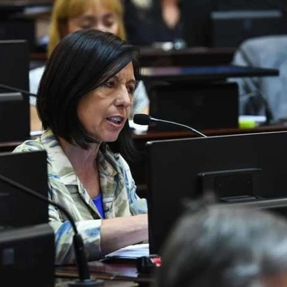 Para Nora Giménez, los senadores no pueden ganar más de 20 salarios mínimos