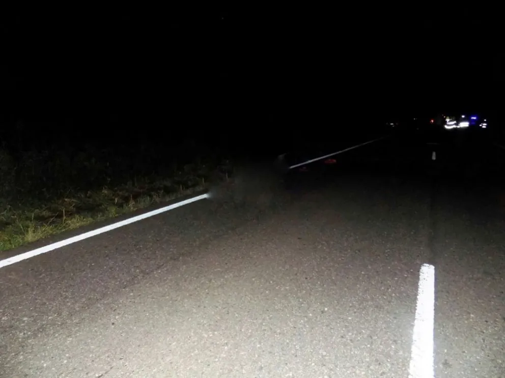 Macabro hallazgo en plena ruta salteña: encuentran dos cadáveres abandonados sobre la calzada