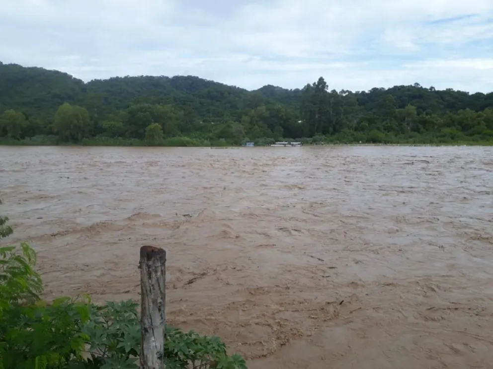 Tragedia en el interior salteño: un joven fue arrastrado por el agua y murió ahogado en el Río de las Cortaderas