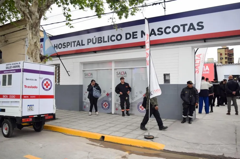 ¡Se retoma la atención en el hospital de mascotas!