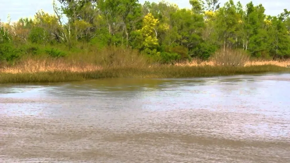 Macabro hallazgo: encuentran un cadáver calcinado en la orilla del río