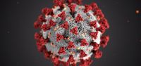 La OMS está en alerta máxima por la aparición de otra cepa de Coronavirus