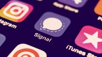 Colapsó Signal, la aplicación que permitía migrar desde WhatsApp no aguantó la gran demanda