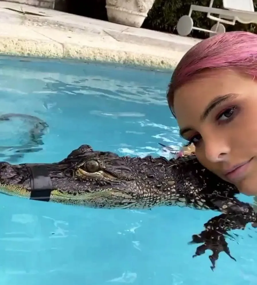 Lele Pons y Stefi Roitman se ganaron el repudio de las redes tras posar junto a un lagarto amarrado
