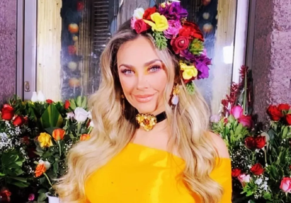 Aracely Árámbula podría estar en la serie de Luis Miguel 